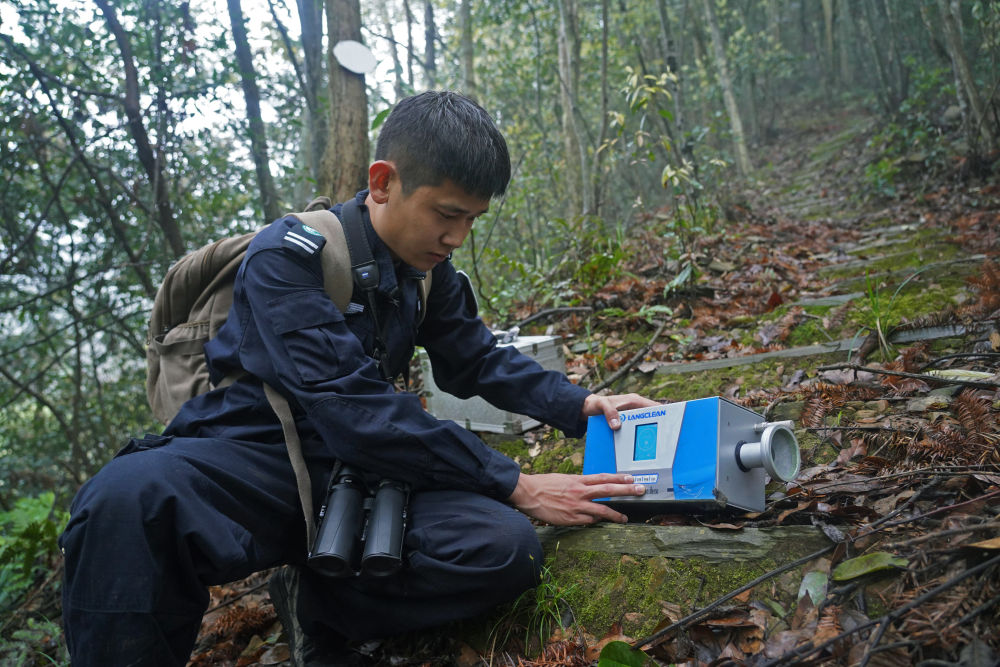 新华全媒 |山为邻,树为伴,他们是一群扎根森林的"青山后浪"