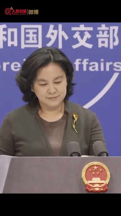 400_712竖版 竖屏gif 动态图 动图