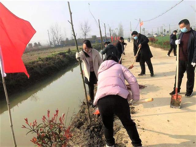 汉川市南河乡开展打造"花园式"农业专业合作社植树活动