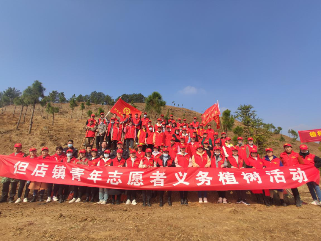 团风但店镇开展"学雷锋"义务植树活动