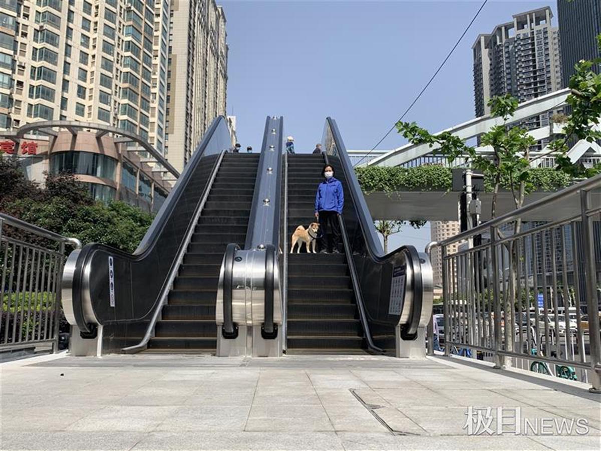 武汉市武昌区首部加装电梯的人行天桥正式运营开通时间为7302100