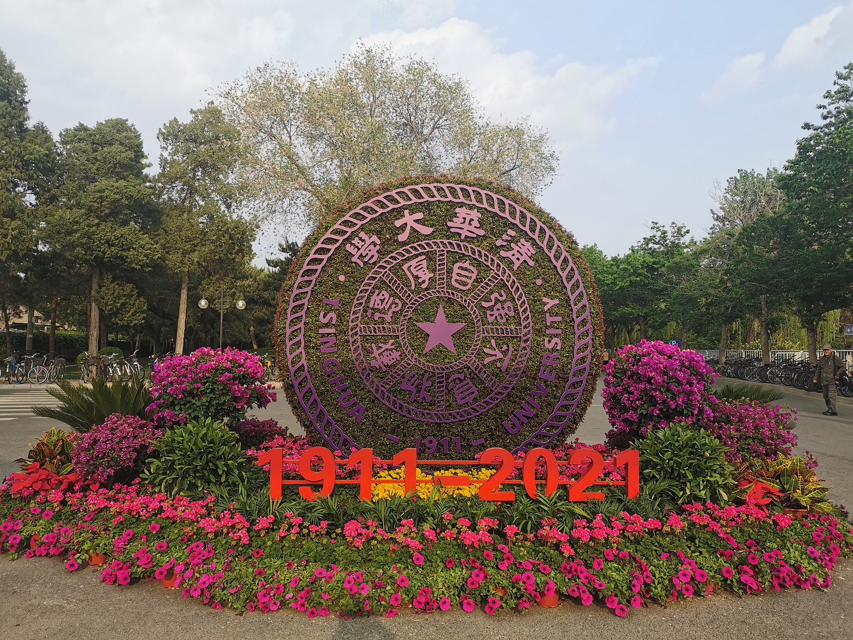 清华园内,紫荆繁盛,春日朗照.