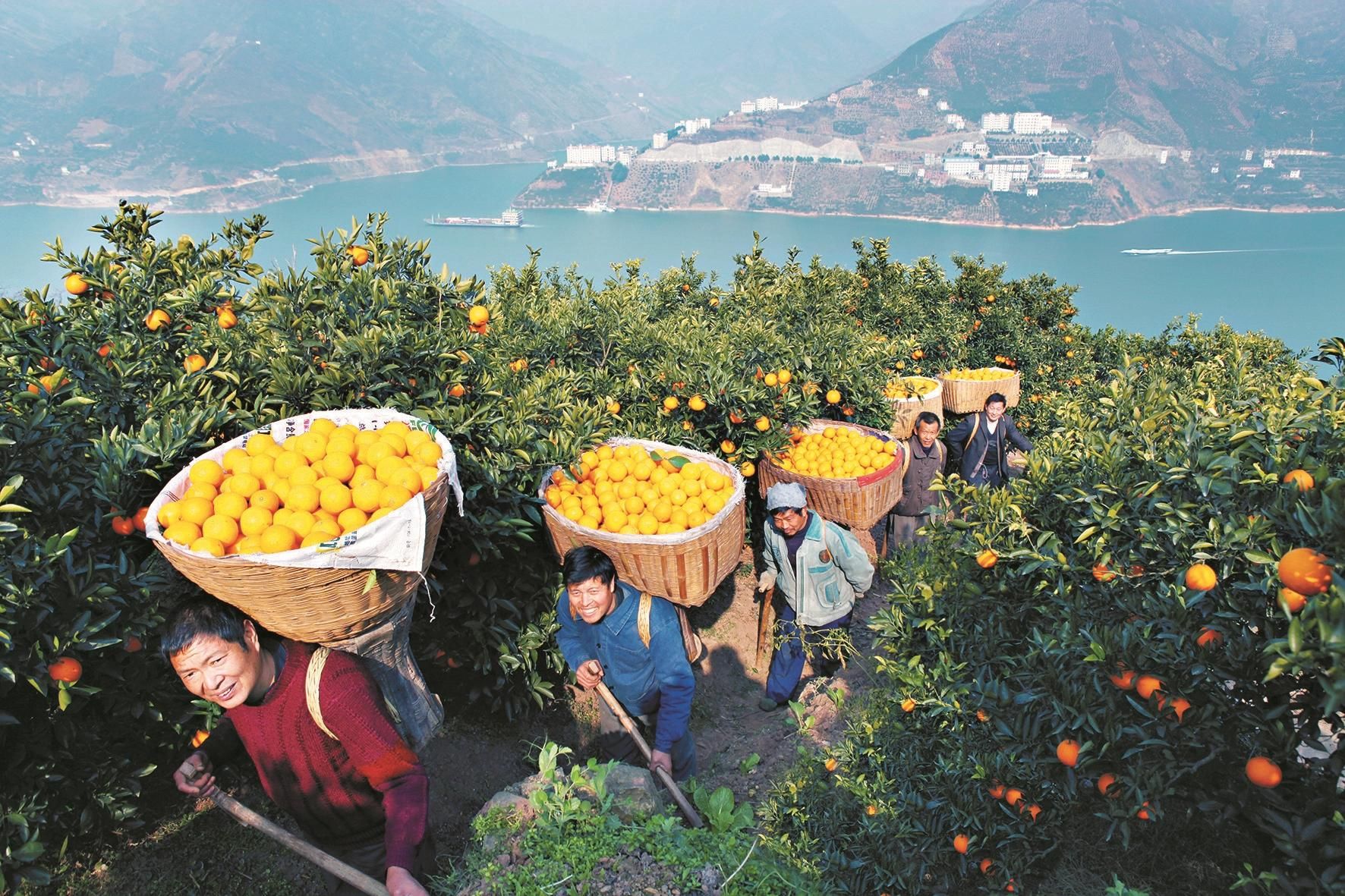 宜昌全面脱贫攻坚的征途上 回荡着干群舍生忘死的壮歌