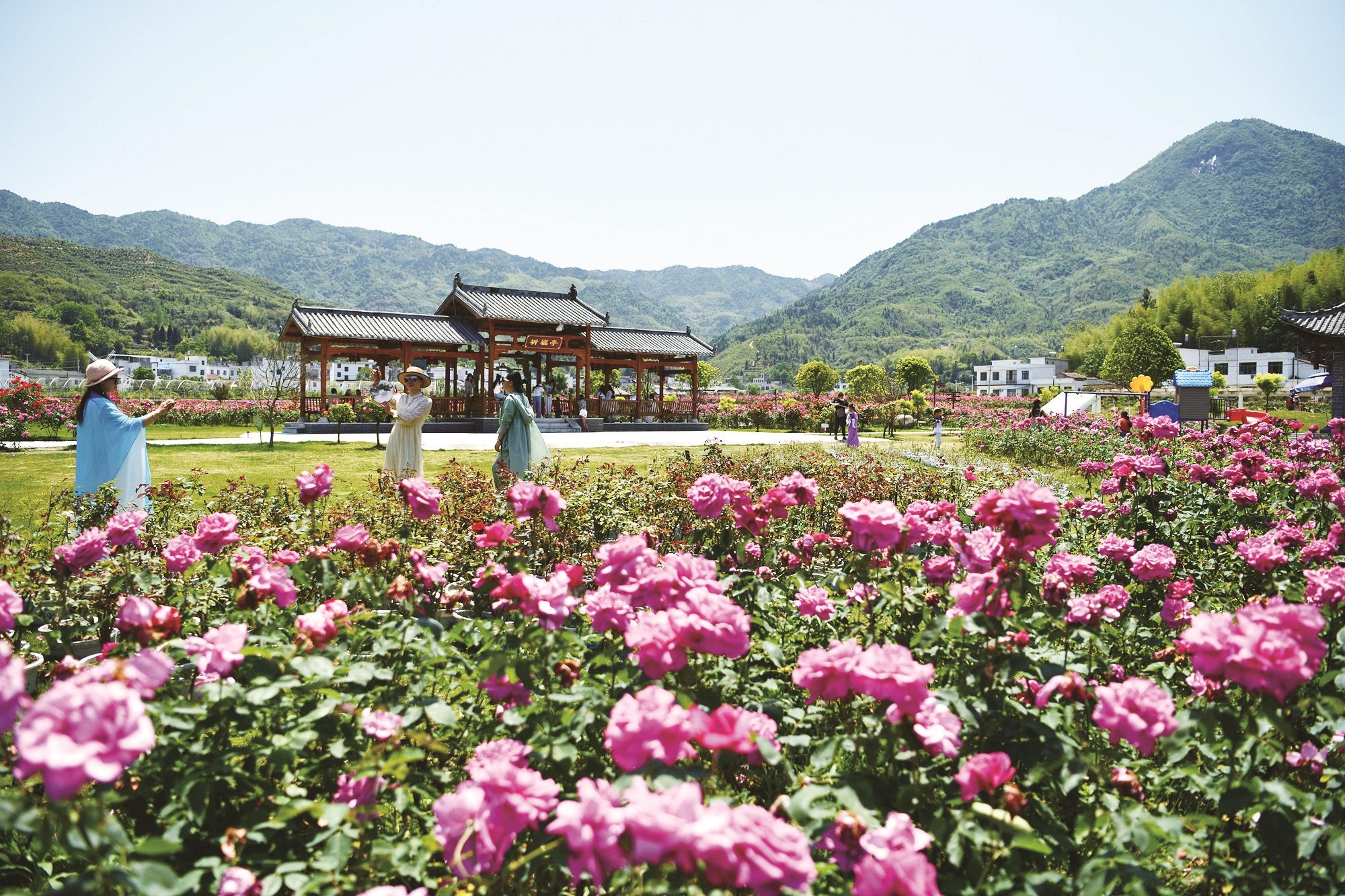通振兴之路 绘秀美之城 通城高标准打造乡村振兴样板