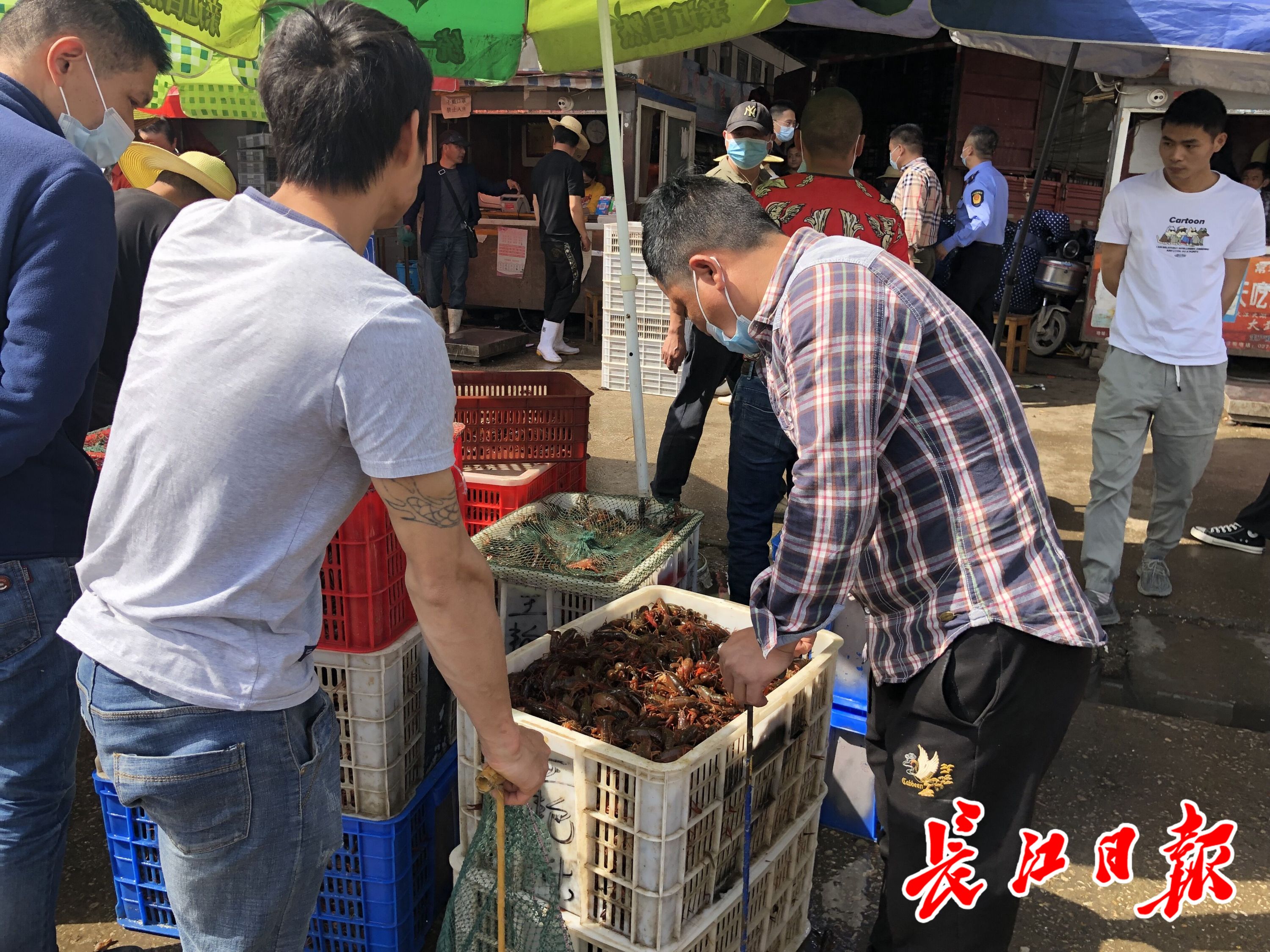 来武汉撮虾子!白沙洲农副产品大市场日批发龙虾100吨