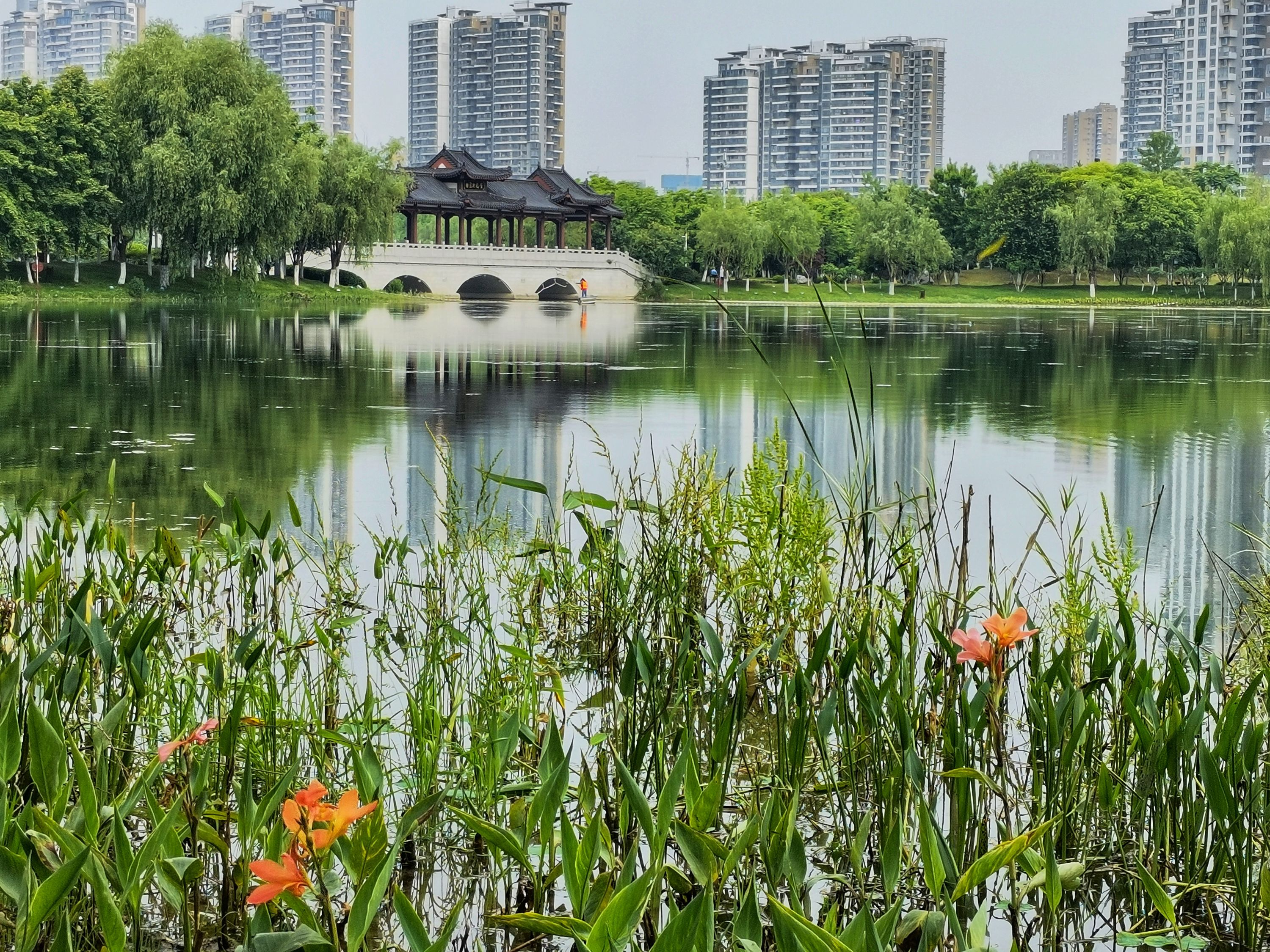 沙湖公园里的乐享假日 | 城市摄影队-荆楚网-湖北日报网