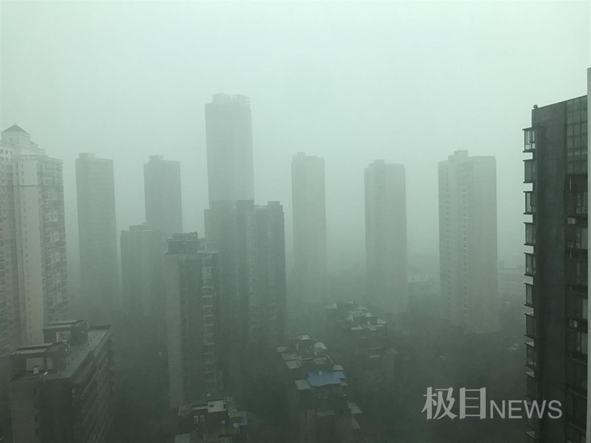 武汉暴雨大风图片