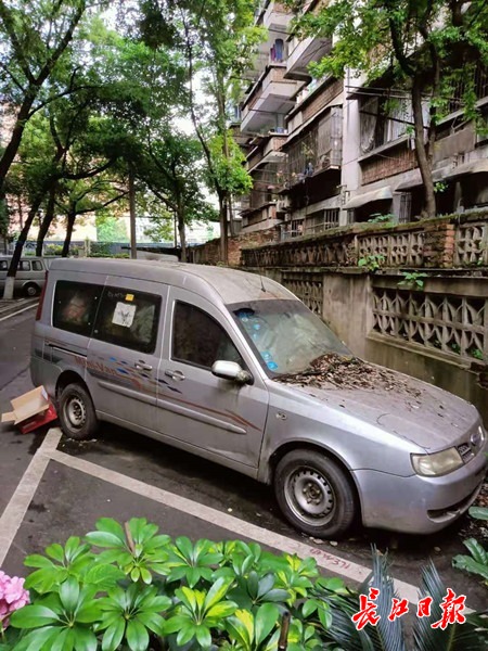这些僵尸车一停好几年居民长期占位盼拖走