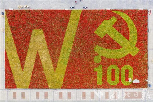建党100周年花坛平面图图片