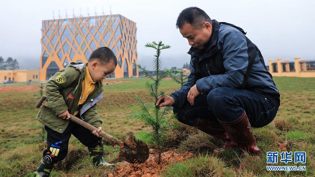 新华全媒 丨成熟期缩短6年 出材率提高3成——种