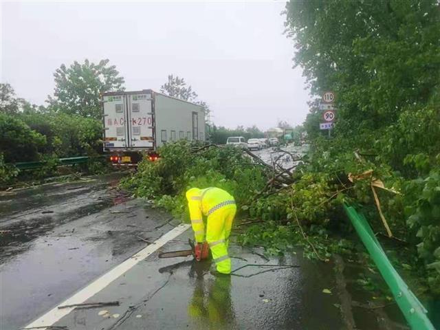 强风降雨造成树木大量倒伏湖北高速公路部分封闭