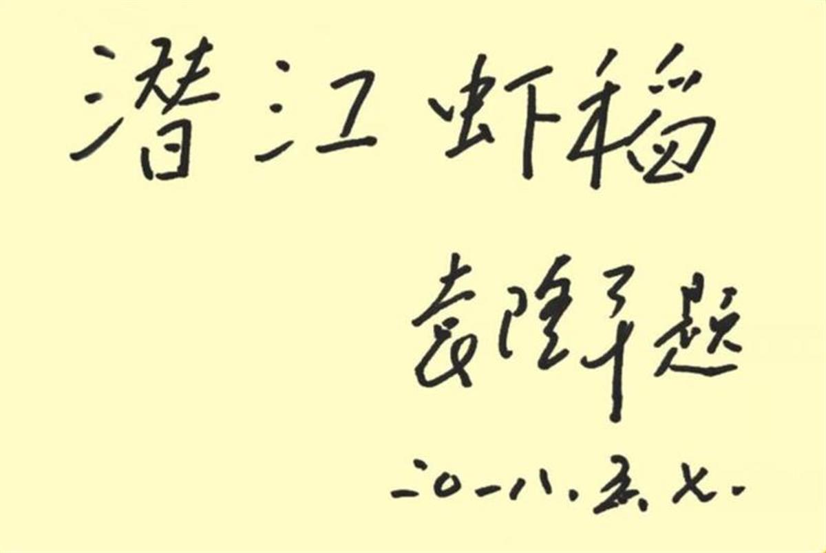 稻念追忆袁隆平的潜江缘