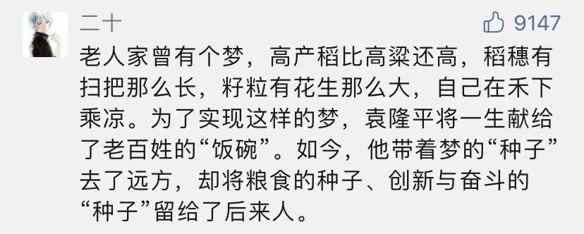 夜思| 袁隆平:妈妈,稻子熟了