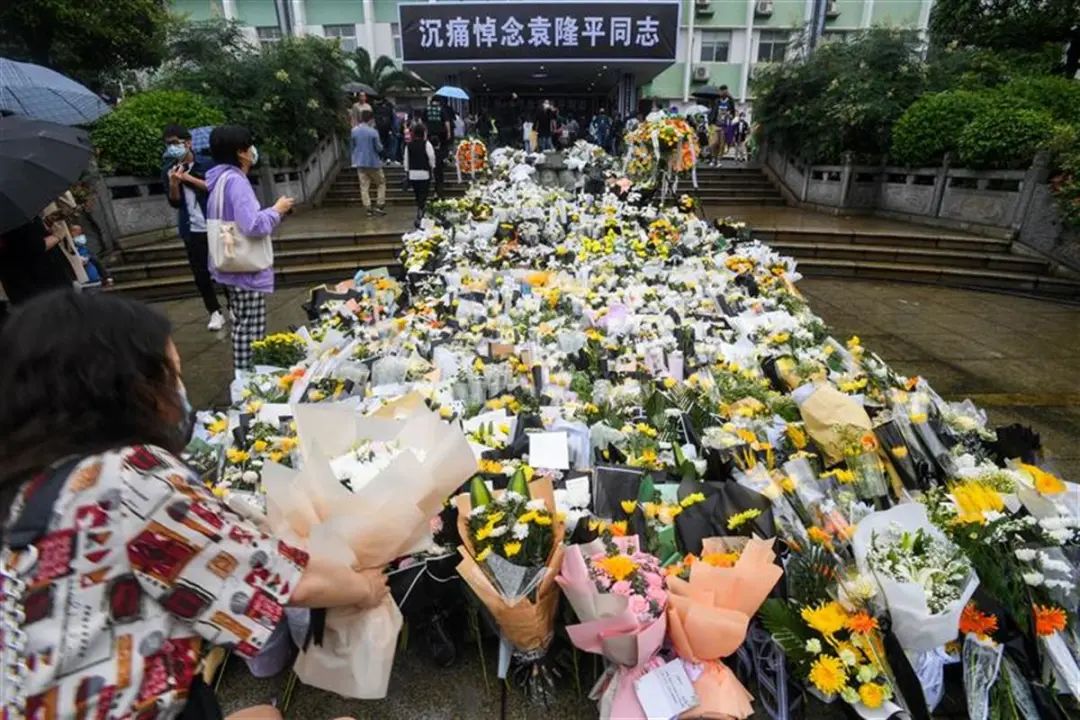 5月22日,袁隆平院士逝世视频剪辑 金英