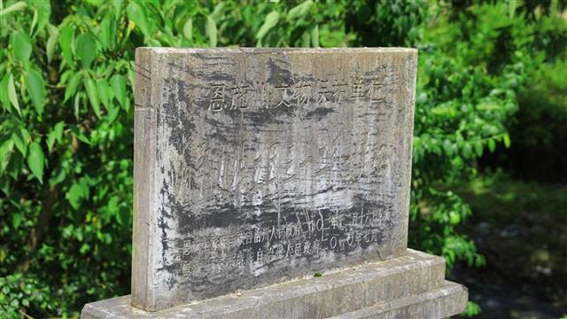 从洪湖出发,看红旗漫卷湘鄂西,重走星火燎原路!