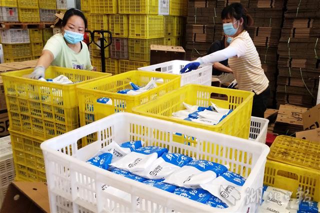 6月2日,在宜昌市夷陵区三峡银岭冷链物流产业园,工人在包装冷冻运输