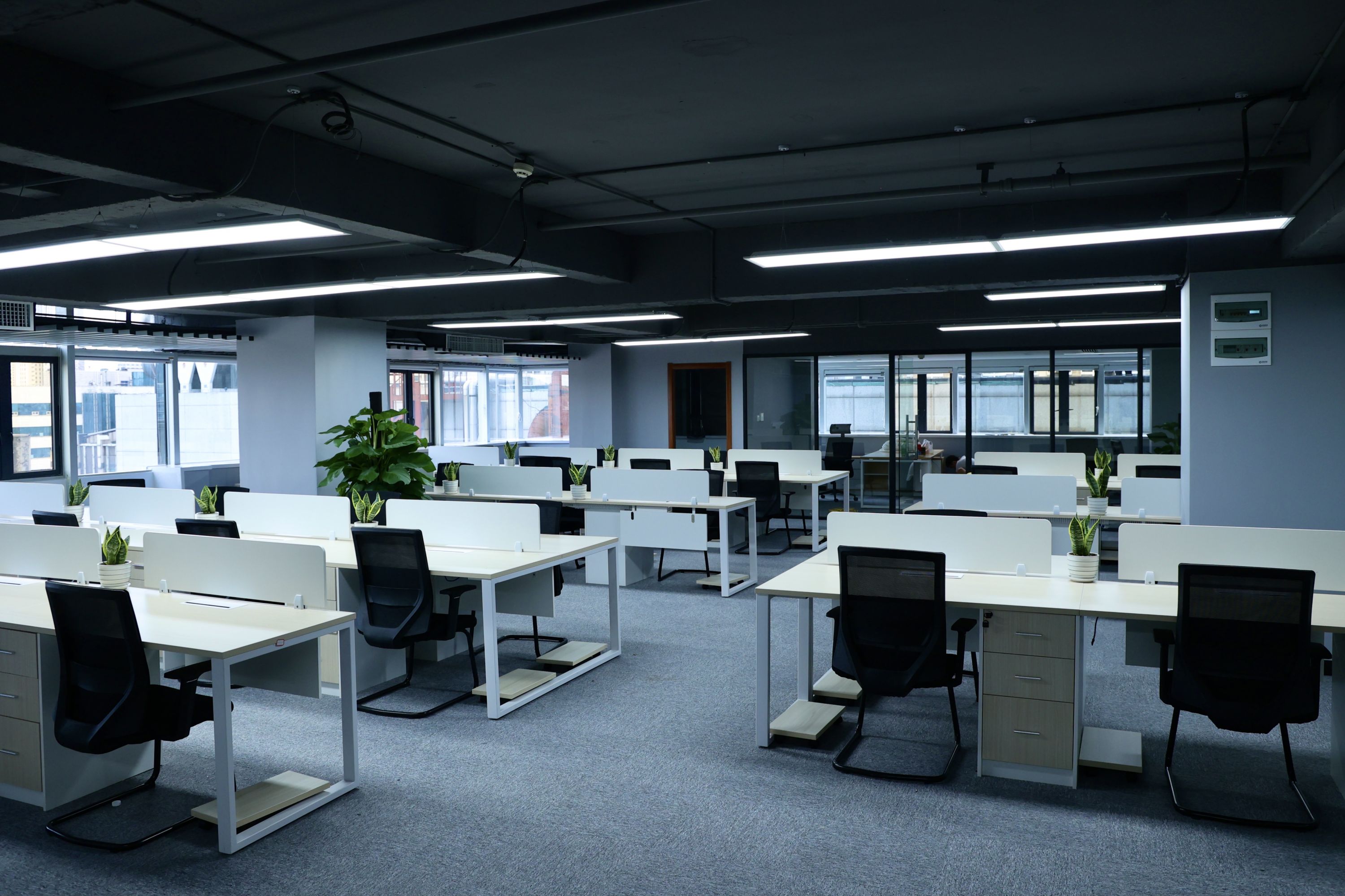 高科孵化器开园,打造光谷科创大走廊"科创明珠"