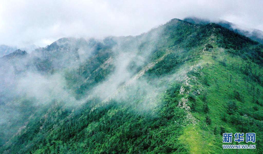 但看秦岭朱雀景 奇峰险秀乱石颜