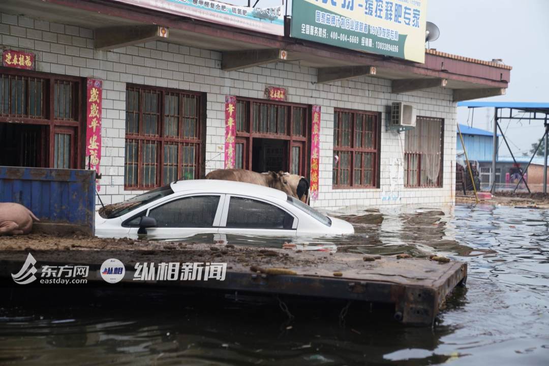 即将泄洪!河南鹤壁淇县发"最强"防汛令
