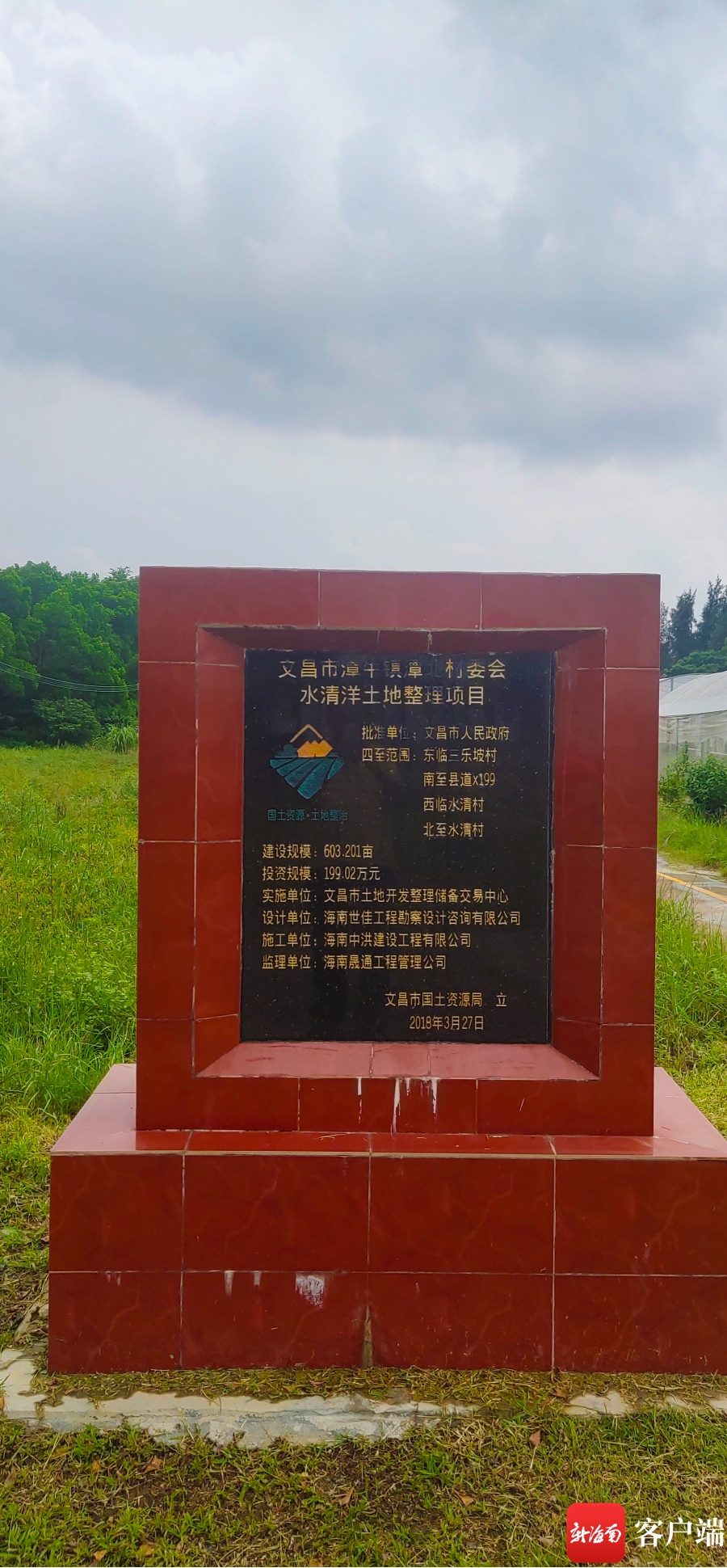 文昌40多亩常年蔬菜大棚变"草地" 遭市民质疑