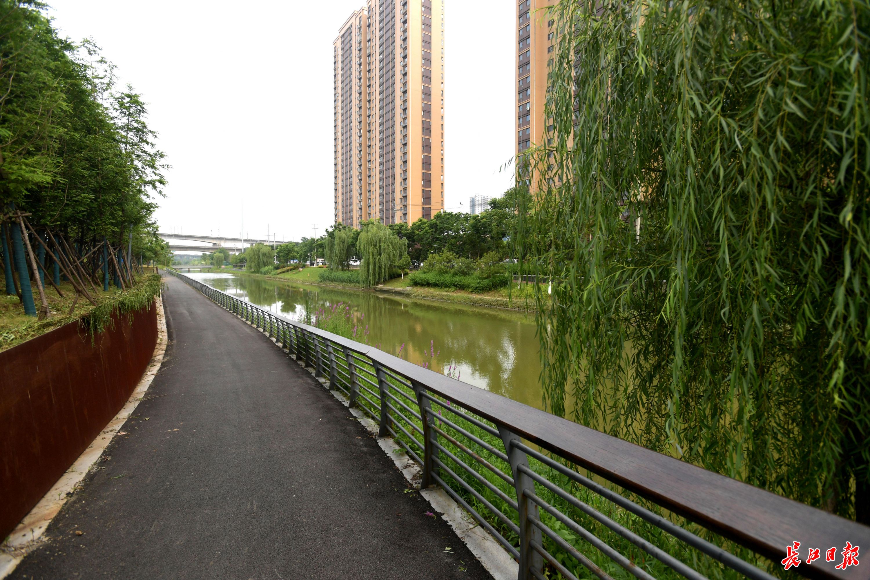 臭水沟变热门"打卡点", 市民点赞一号明渠"大蝶变"