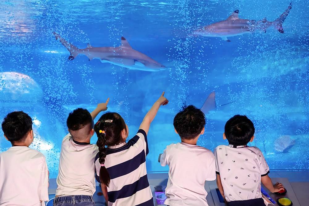 长风海洋世界开启"环游四海"主题活动 "小小水族师"再度回归