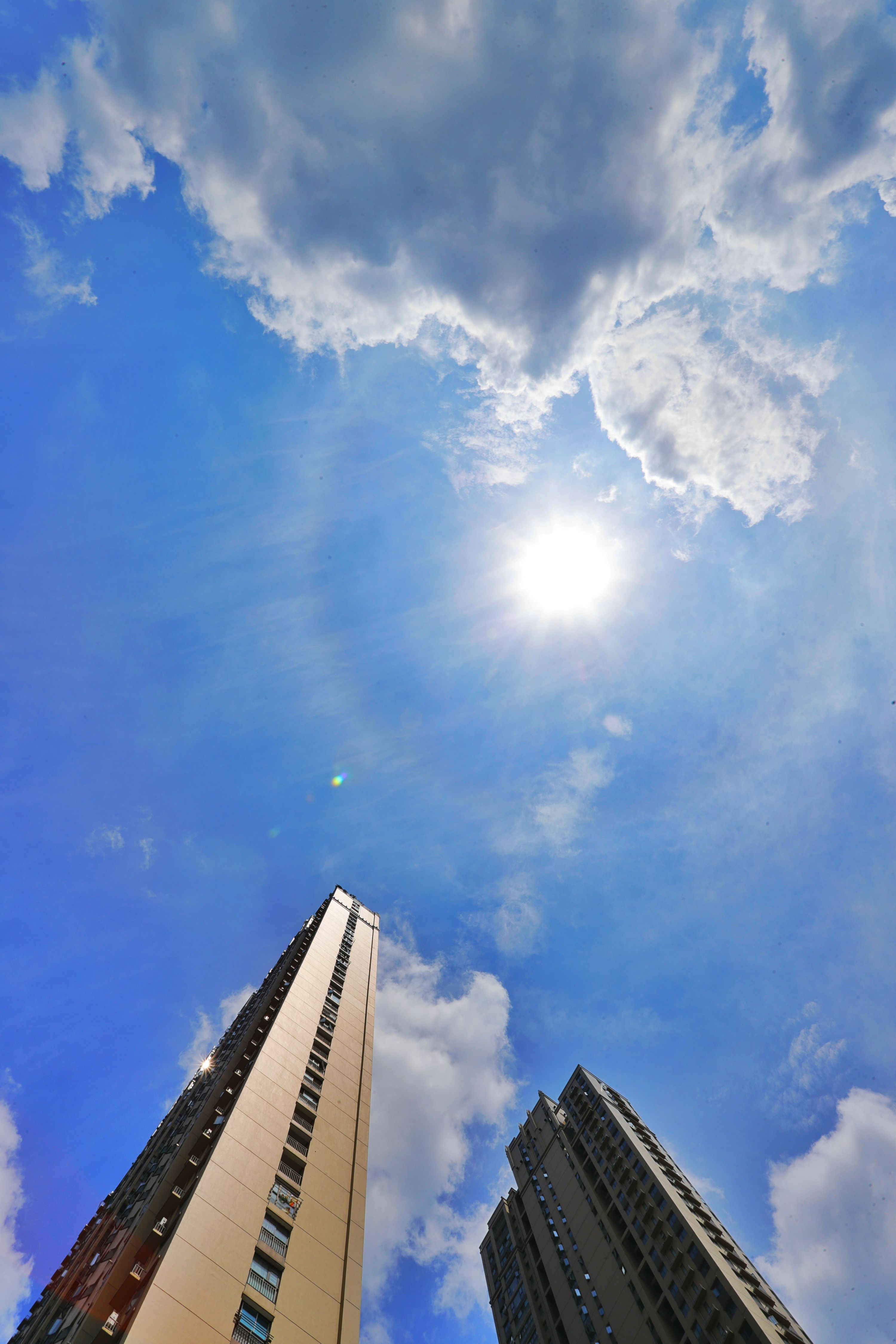 sunny day after the plum rain season photo by yang tao