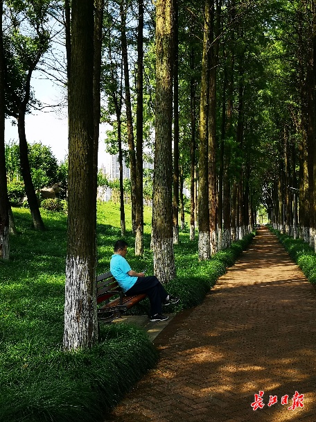 游客在树下乘凉. 长江日报记者覃柳玮 摄