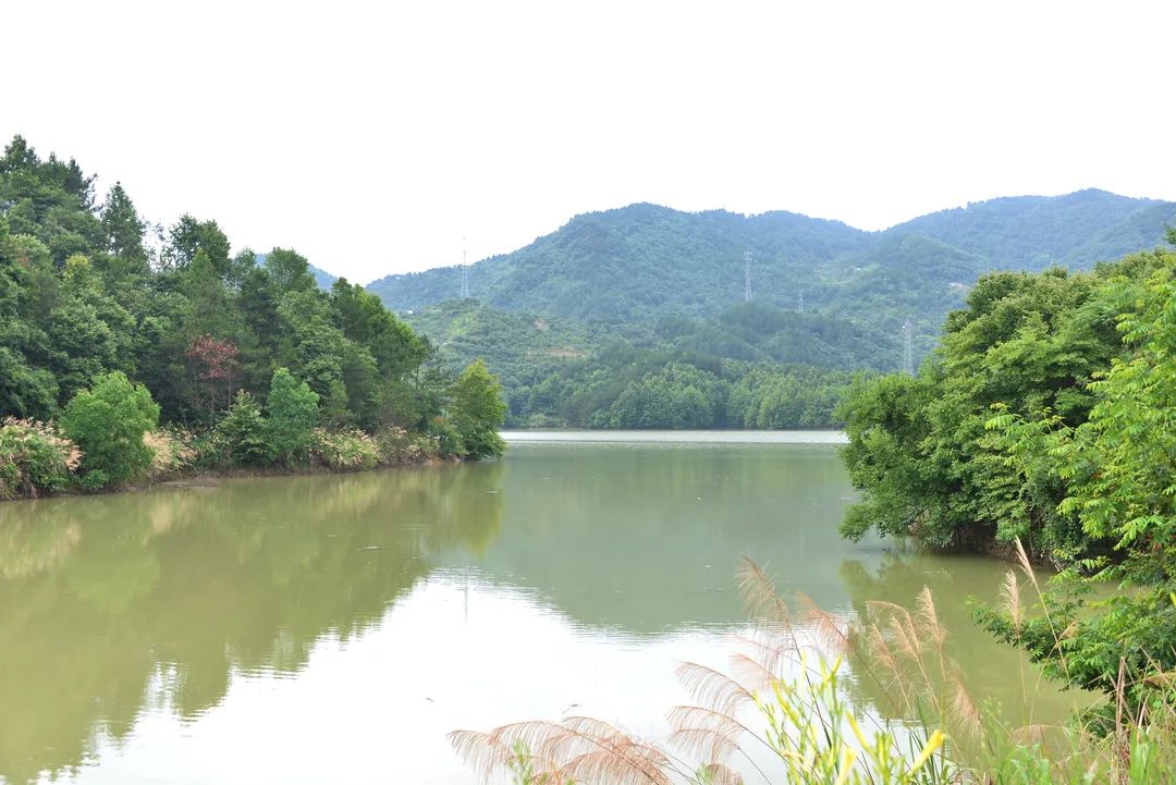 凤凰关水库库区