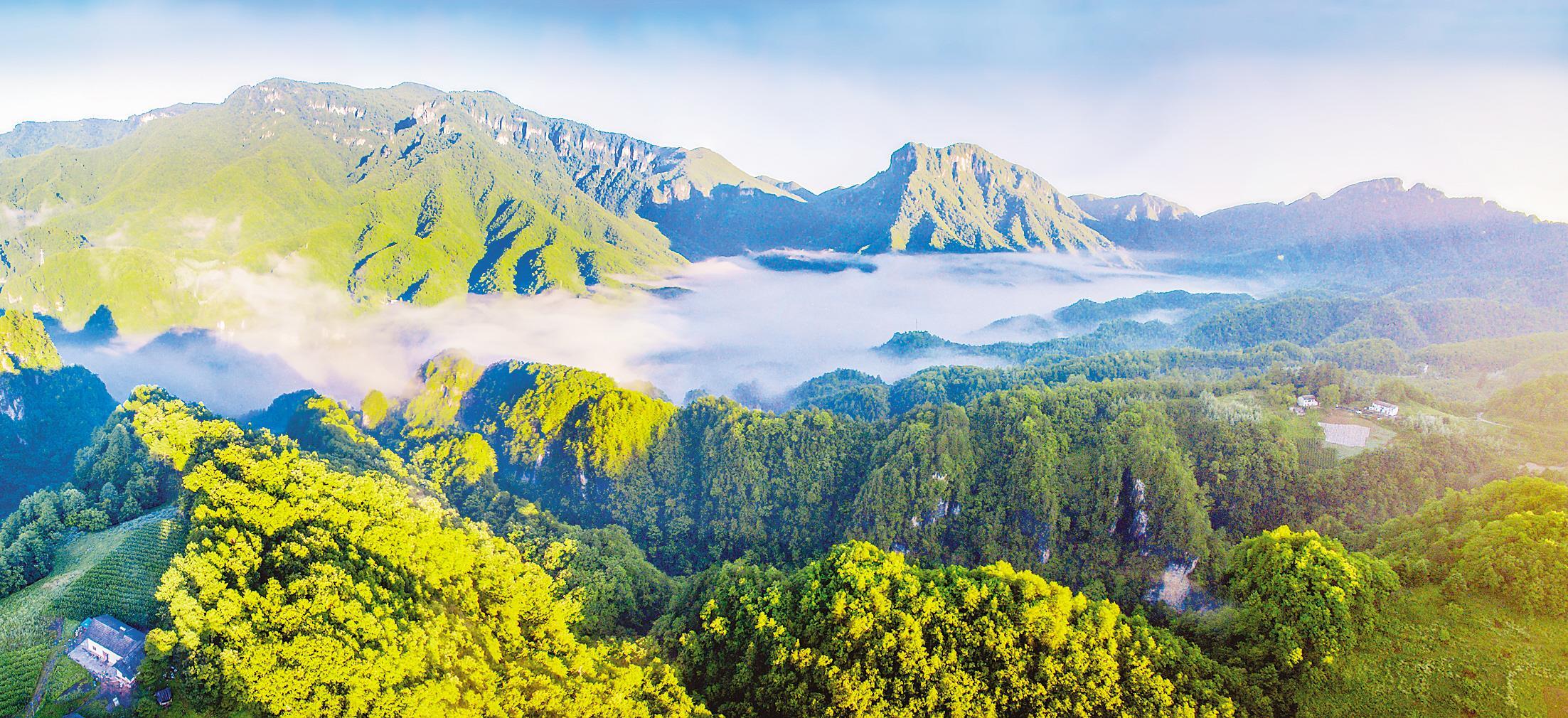 神农架满山苍翠,风景优美.图为红坪晨雾.(通讯员 陈金武 摄)