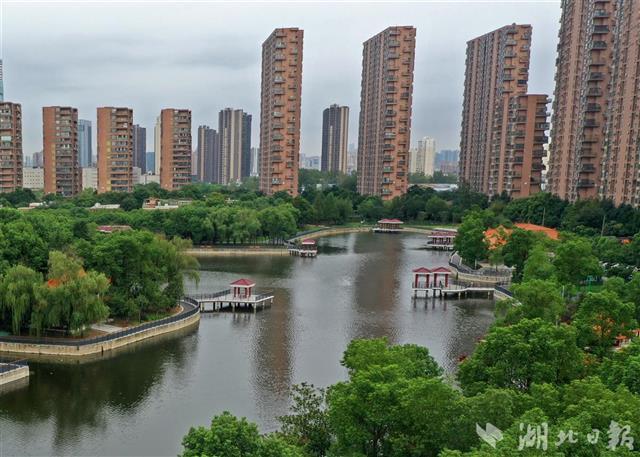 8月23日,在武汉市东西湖区金银湖水域两座新建成不久的公园成为附近