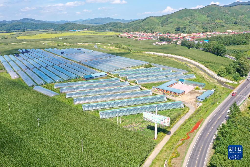 吉林设施农业助增收