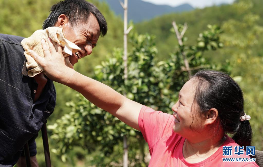 8月11日,在脐橙园劳作间隙,妻子刘招娣帮丈夫擦汗.