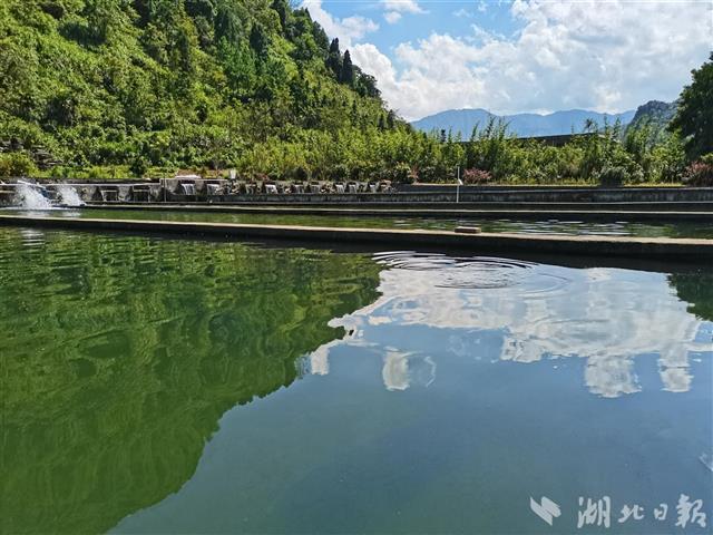 中华鲟"畅游"青山绿水间