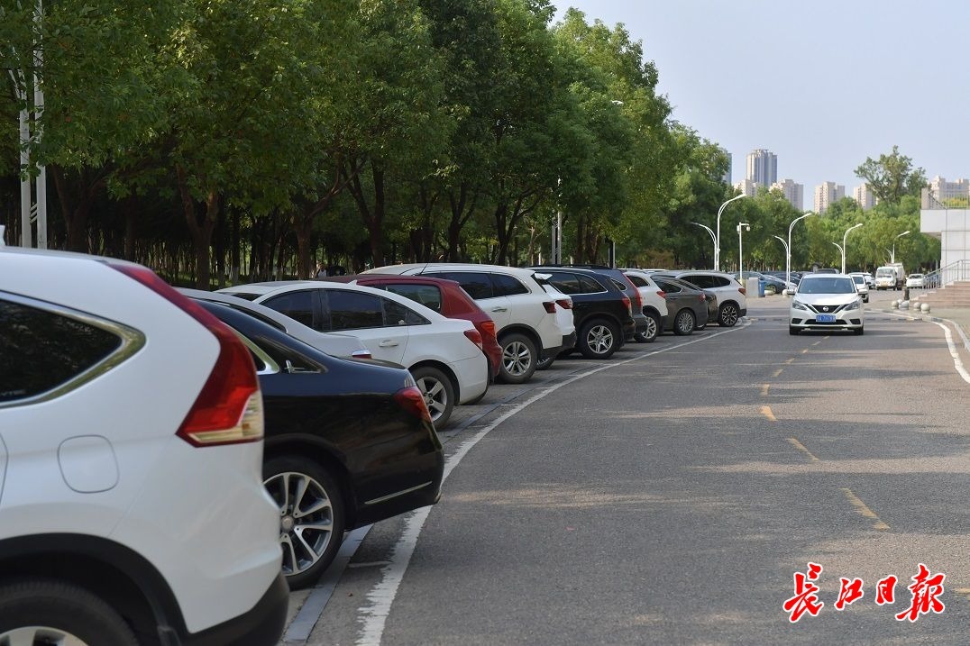 摇号停车,这个小区长期被堵的车库通了