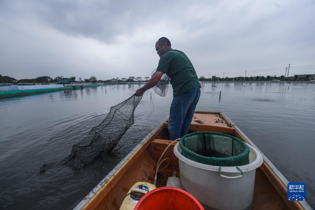 浙江湖州:推进特色生态水产养殖 助力乡村共同富裕