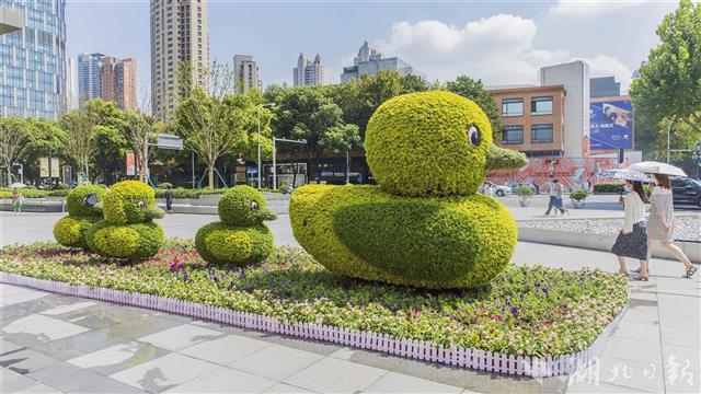 武汉街头国庆花坛扎景登场