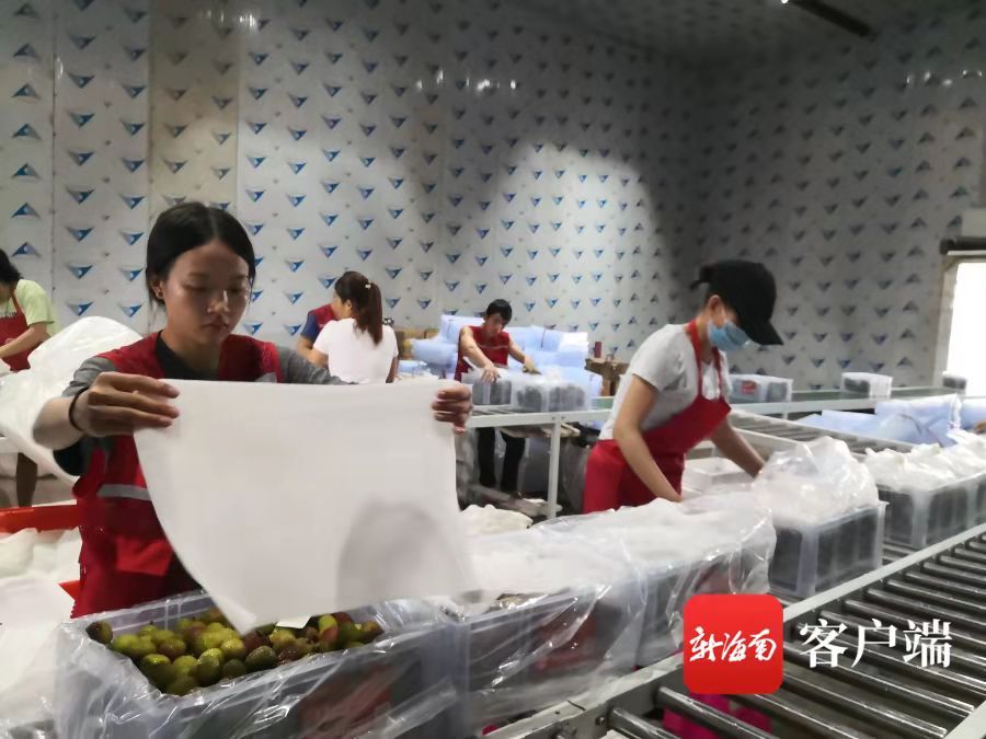 热带水果冷链发货