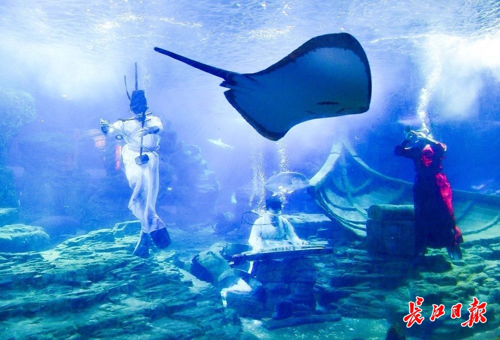水下演奏国庆假期东湖海洋乐园又上新