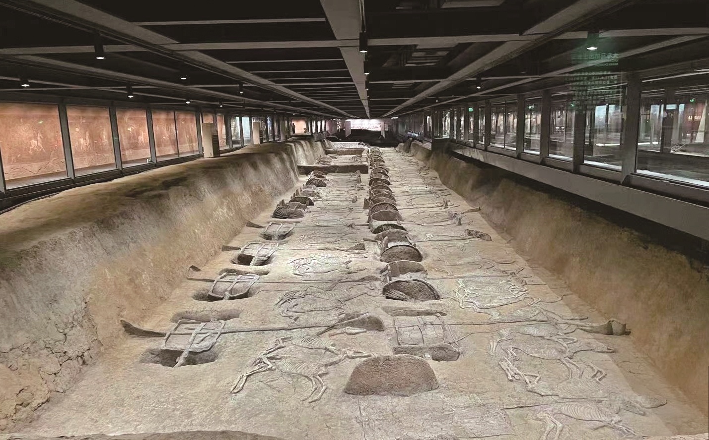 楚王车马阵 裹挟两千年前的辉煌奔腾而来