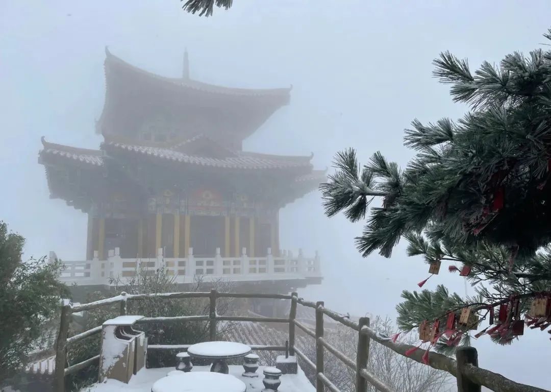 洛阳白云山山顶也迎来降雪 漫天飞雪,飘飘洒洒