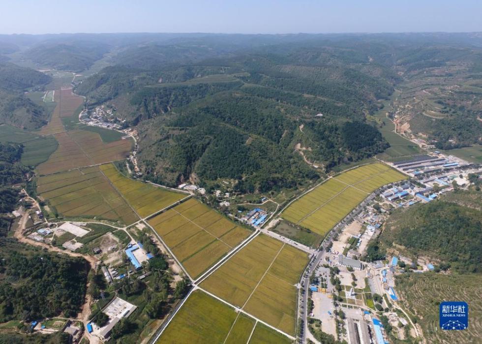 自力更生 艰苦创业——南泥湾精神述评