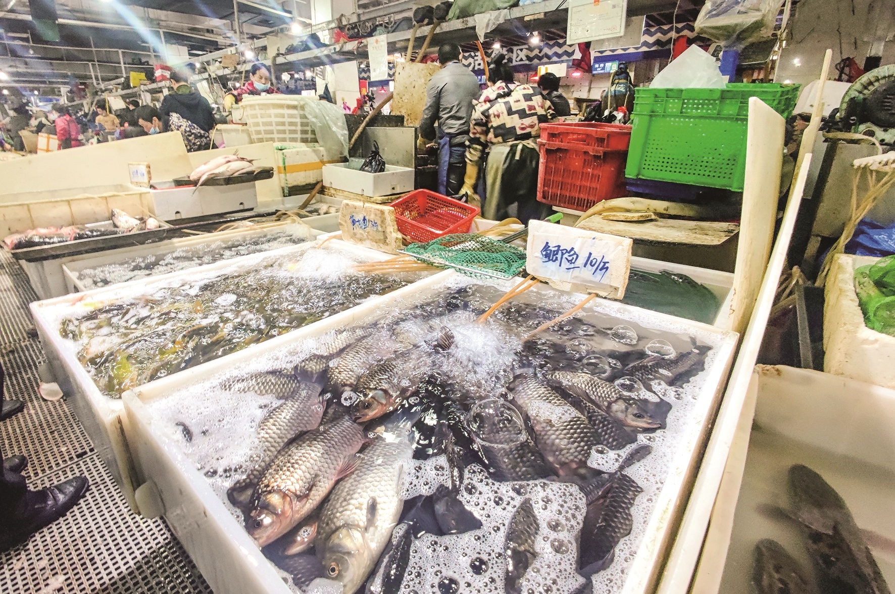 生鲜市场上淡水鱼正在热销草鱼每斤最低不到7元10月24日一早,汉口黄孝