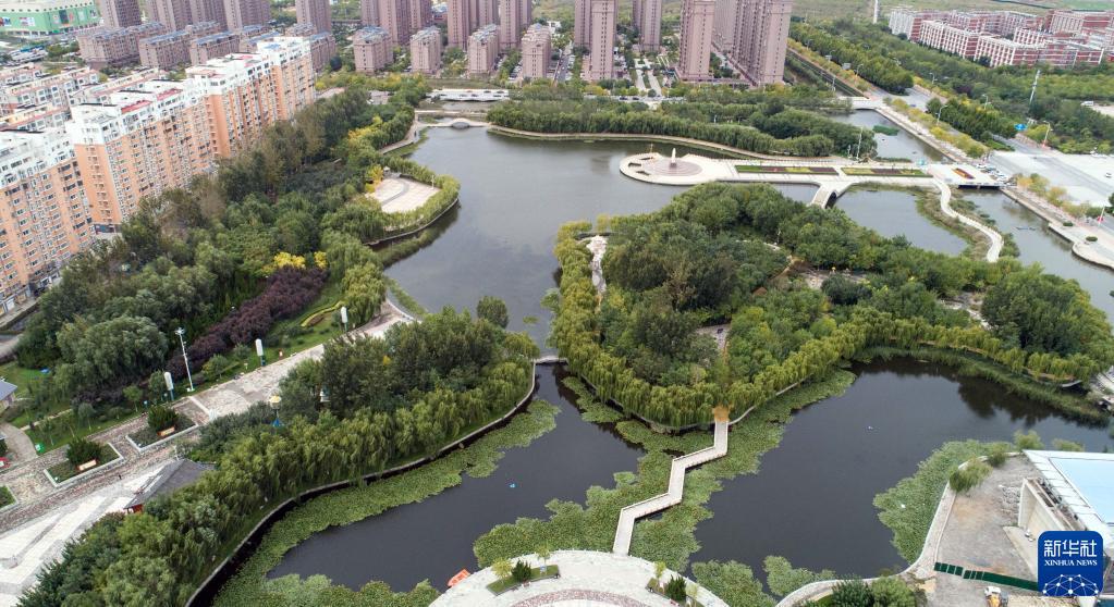 河北黄骅:盐碱地上"长出"城市"绿肺"