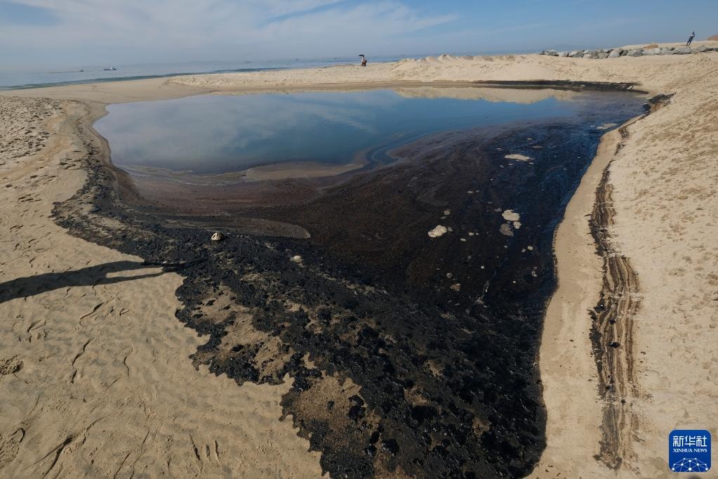 美國南加州海岸發生重大漏油事故 ,魚鳥死亡,海灘關閉.