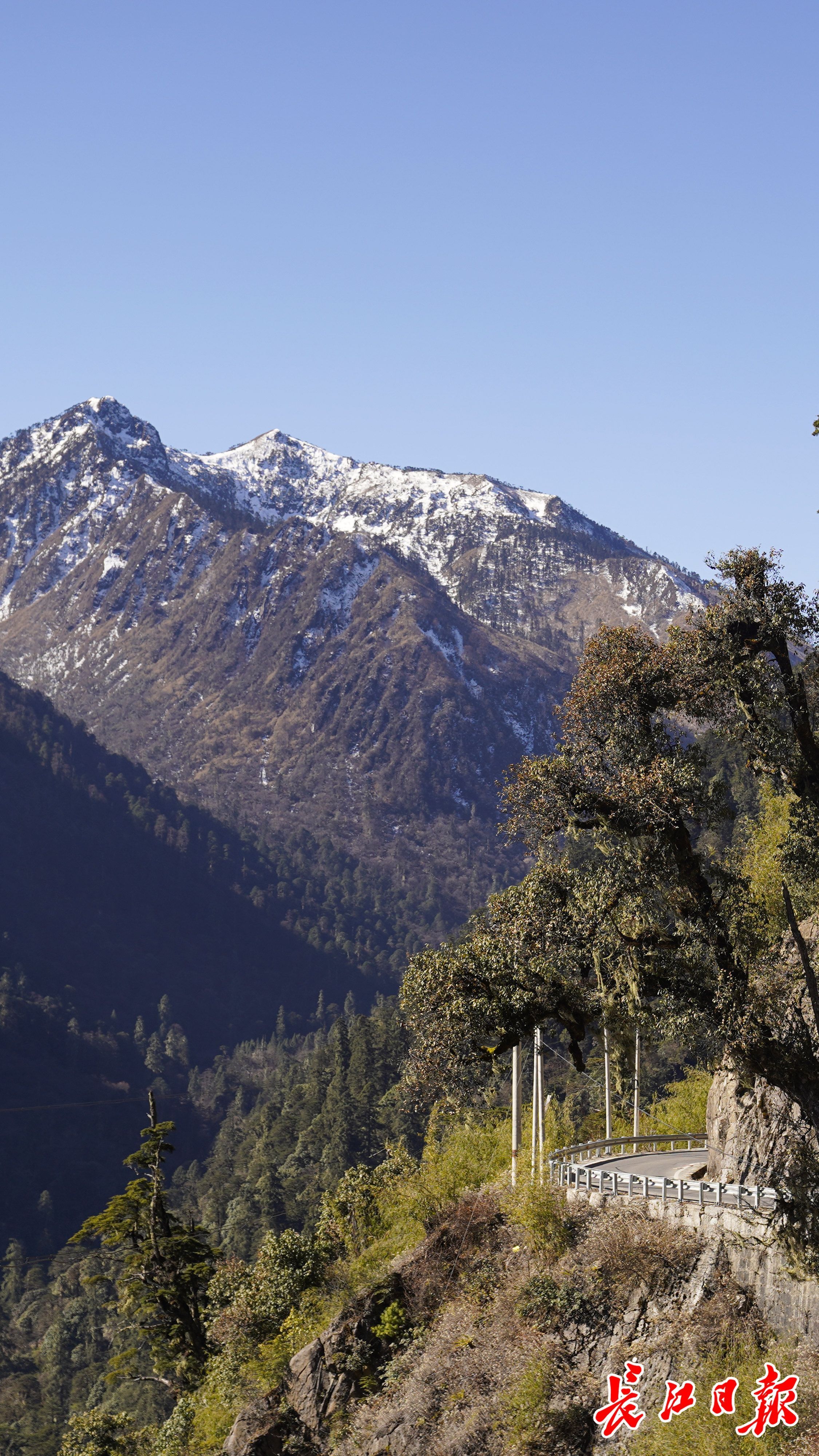 云南:万物栖息之地,生态如此多样|影像-荆楚网-湖北日报网