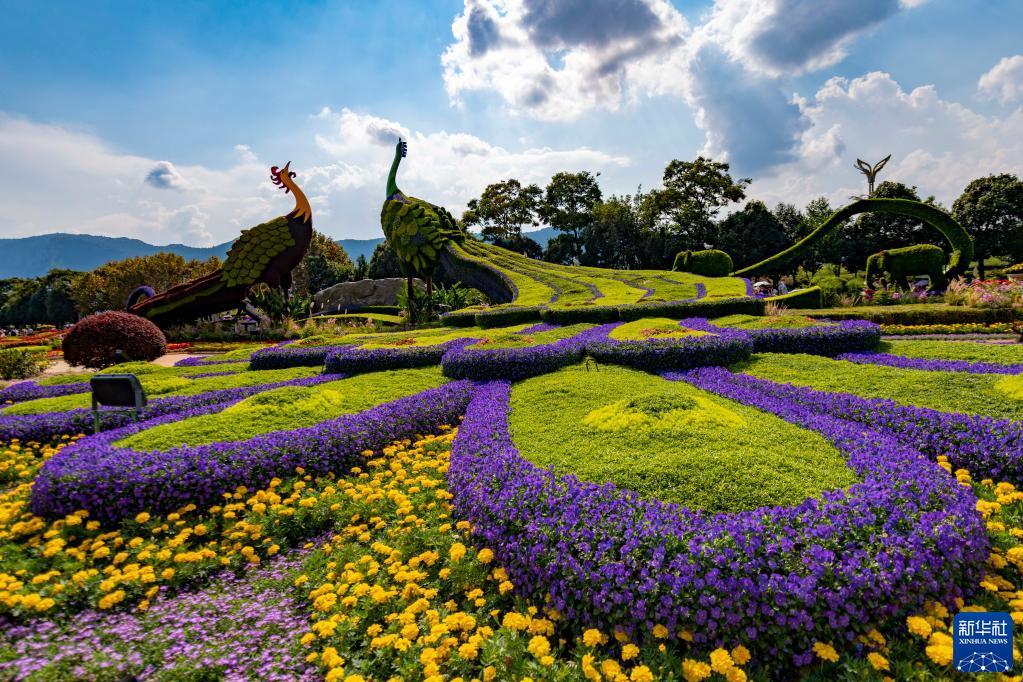 昆明市通过在重要片区,道路等设置立体花坛,装饰街道等方式,扮靓春城
