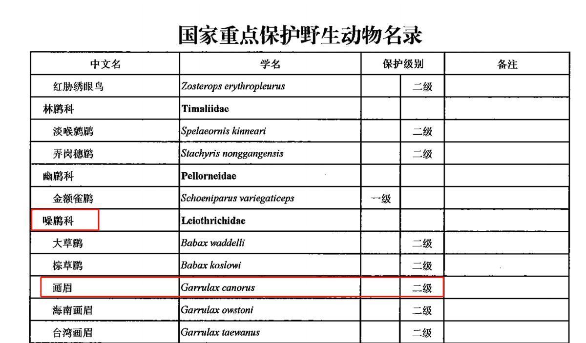 网曝广西柳州将举办画眉鸟斗鸟争霸赛,官方:属保护动物,已责令取消