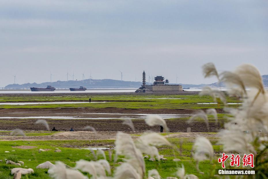 江西鄱陽湖水位下降 千年石島