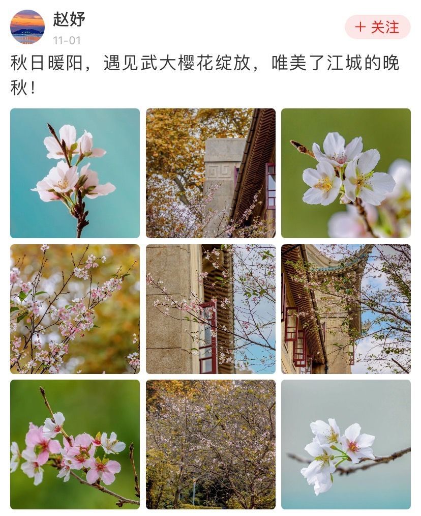 秋天是什么颜色?蓝,红,黄……每一处美景都不想辜负